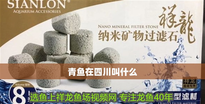 青魚在四川叫什么