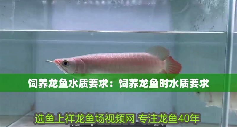 飼養(yǎng)龍魚水質(zhì)要求：飼養(yǎng)龍魚時(shí)水質(zhì)要求