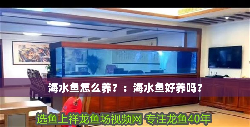 海水魚怎么養(yǎng)？：海水魚好養(yǎng)嗎？
