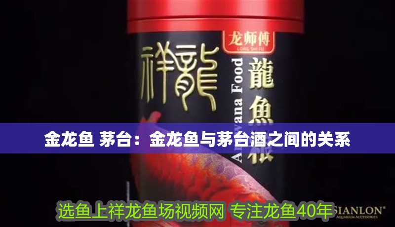 金龍魚 茅臺：金龍魚與茅臺酒之間的關系