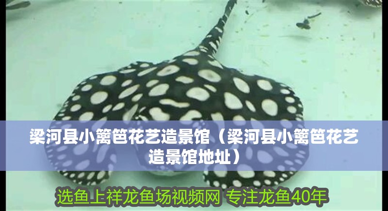 梁河縣小籬笆花藝造景館（梁河縣小籬笆花藝造景館地址）