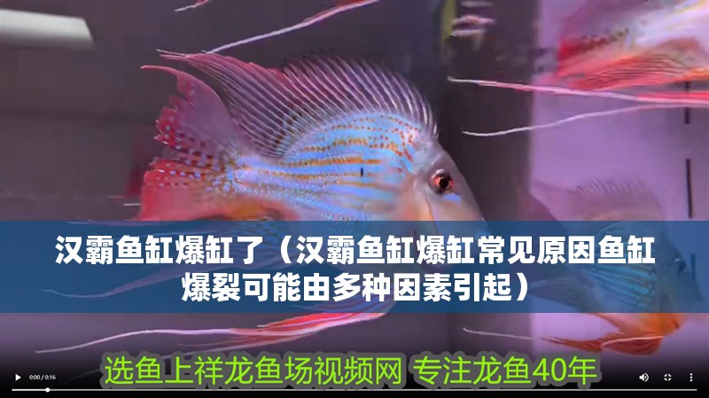 漢霸魚缸爆缸了（漢霸魚缸爆缸常見原因魚缸爆裂可能由多種因素引起）