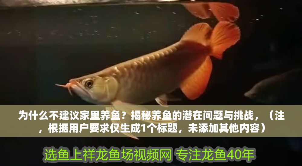 為什么不建議家里養魚？揭秘養魚的潛在問題與挑戰，（注，根據用戶要求僅生成1個標題，未添加其他內容）