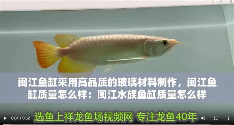 閩江魚缸采用高品質(zhì)的玻璃材料制作，閩江魚缸質(zhì)量怎么樣：閩江水族魚缸質(zhì)量怎么樣