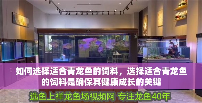 如何選擇適合青龍魚的飼料，選擇適合青龍魚的飼料是確保其健康成長的關(guān)鍵 如何選擇適合青龍魚的飼料，選擇適合青龍魚的飼料是確保其健康成長的關(guān)鍵 龍魚百科