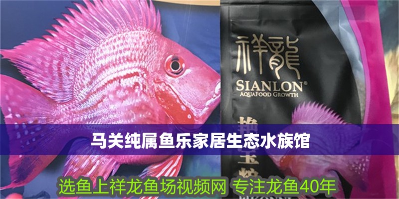 馬關純屬魚樂家居生態水族館