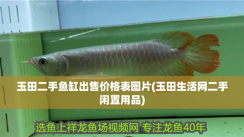 玉田二手魚缸出售價格表圖片(玉田生活網(wǎng)二手閑置用品)