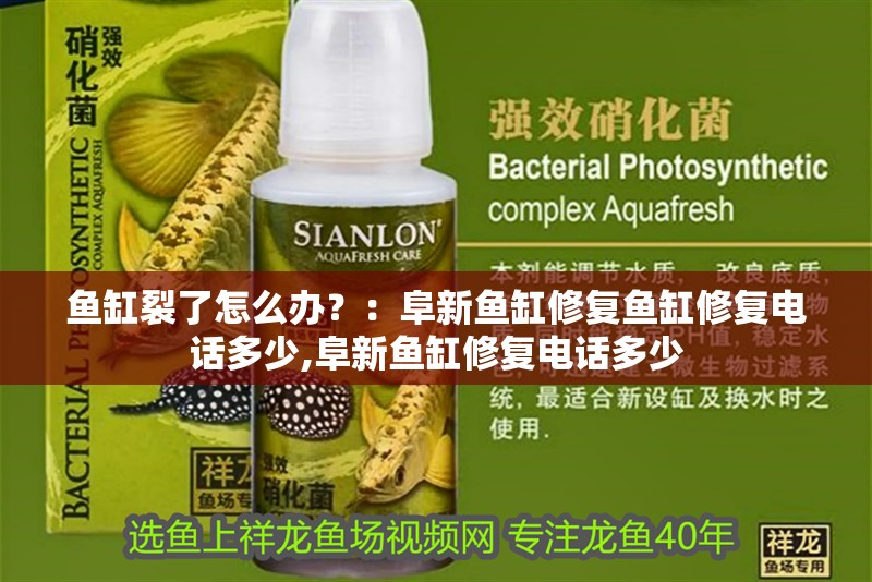 魚缸裂了怎么辦？：阜新魚缸修復(fù)魚缸修復(fù)電話多少,阜新魚缸修復(fù)電話多少