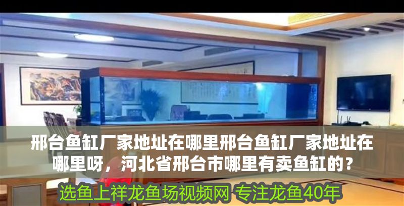 邢臺魚缸廠家地址在哪里邢臺魚缸廠家地址在哪里呀，河北省邢臺市哪里有賣魚缸的？