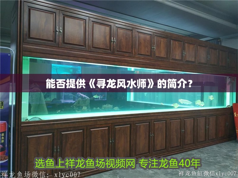 能否提供《尋龍風(fēng)水師》的簡介？