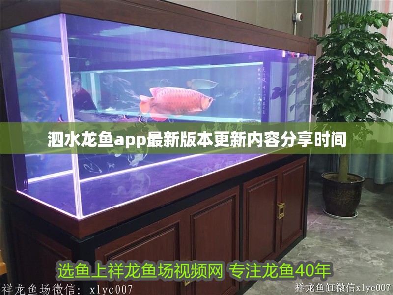 泗水龍魚app最新版本更新內(nèi)容分享時(shí)間