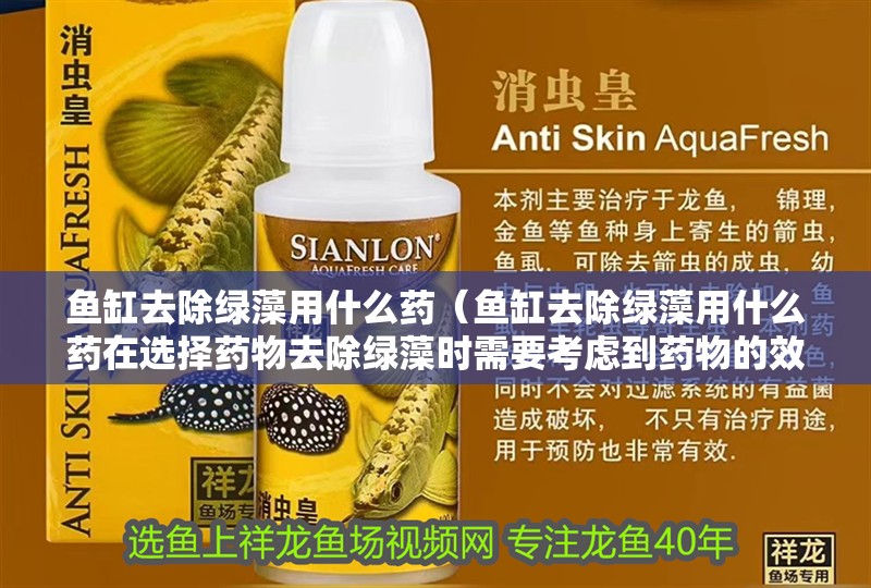 魚缸去除綠藻用什么藥（魚缸去除綠藻用什么藥在選擇藥物去除綠藻時需要考慮到藥物的效果）