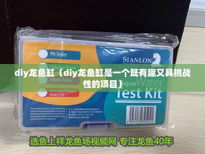 diy龍魚缸（diy龍魚缸是一個(gè)既有趣又具挑戰(zhàn)性的項(xiàng)目）