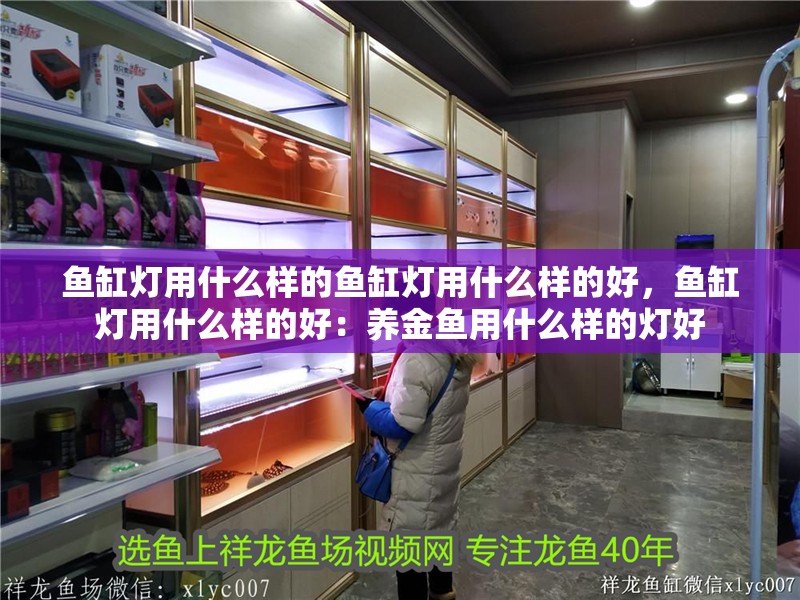 魚缸燈用什么樣的魚缸燈用什么樣的好，魚缸燈用什么樣的好：養金魚用什么樣的燈好