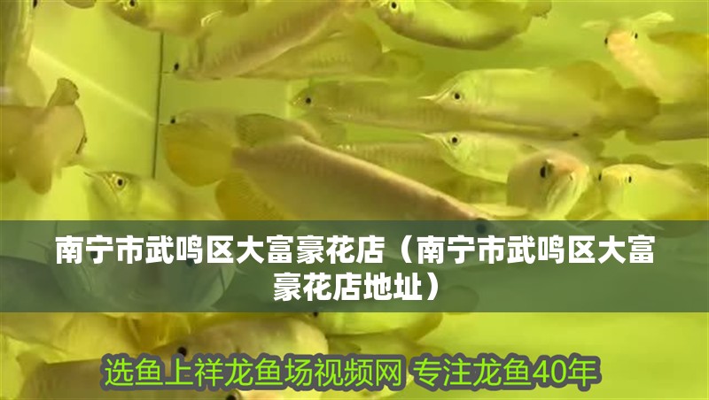 南寧市武鳴區(qū)大富豪花店（南寧市武鳴區(qū)大富豪花店地址）