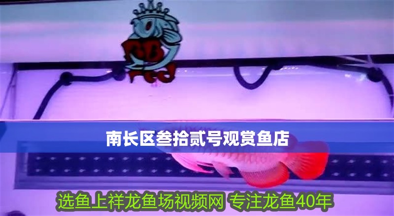 南長區(qū)叁拾貳號觀賞魚店