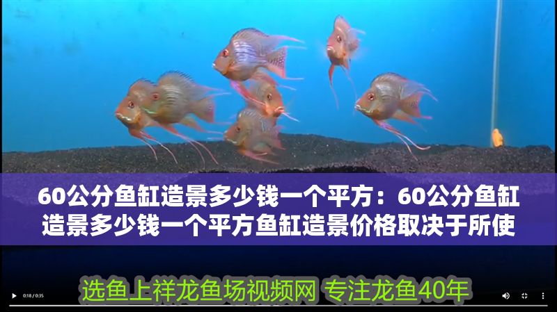 60公分魚缸造景多少錢一個平方：60公分魚缸造景多少錢一個平方魚缸造景價格取決于所使用的材料
