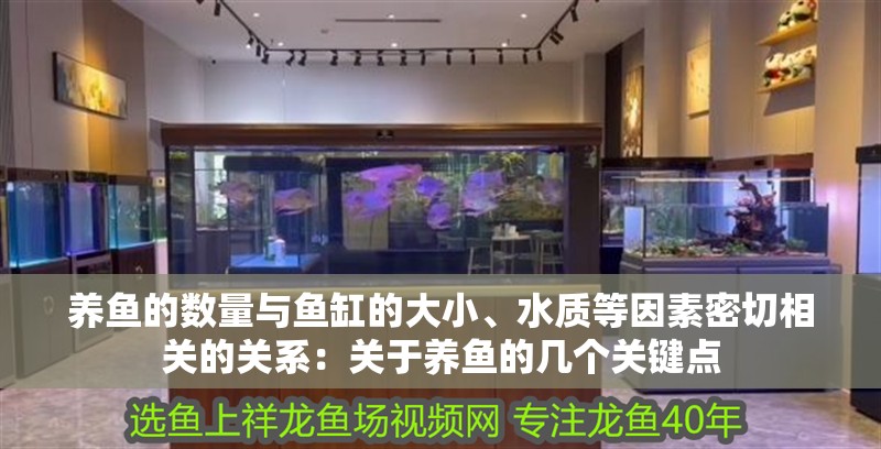 養魚的數量與魚缸的大小、水質等因素密切相關的關系：關于養魚的幾個關鍵點