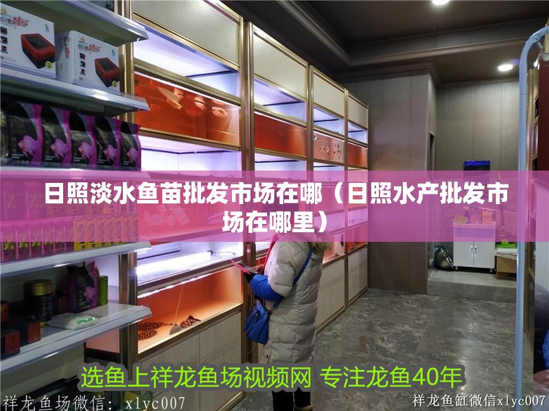 日照淡水魚苗批發市場在哪（日照水產批發市場在哪里）