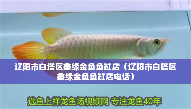 遼陽市白塔區鑫緣金魚魚缸店（遼陽市白塔區鑫緣金魚魚缸店電話）