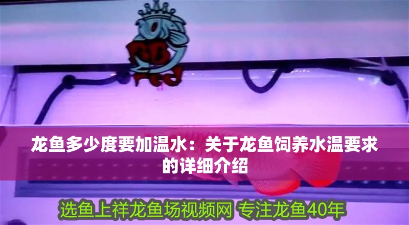 龍魚多少度要加溫水：關于龍魚飼養(yǎng)水溫要求的詳細介紹