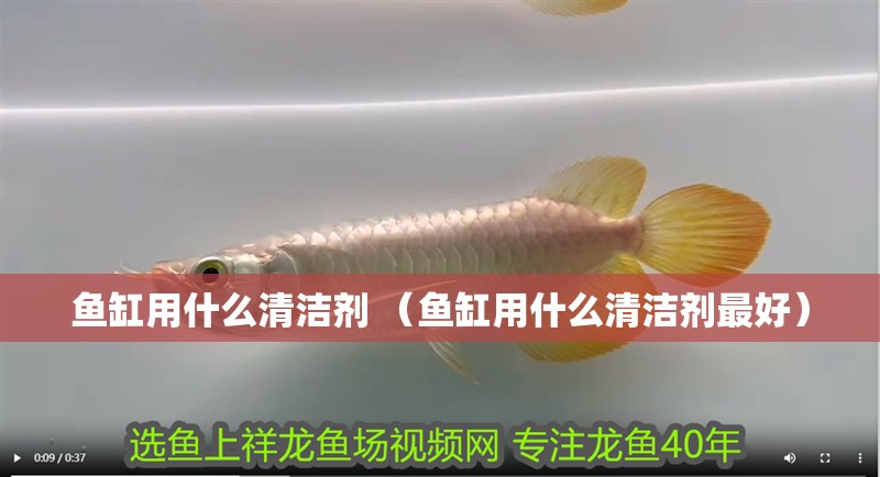魚缸用什么清潔劑 （魚缸用什么清潔劑最好）