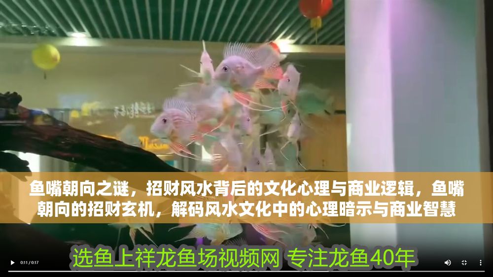 魚嘴朝向之謎，招財風水背后的文化心理與商業邏輯，魚嘴朝向的招財玄機，解碼風水文化中的心理暗示與商業智慧