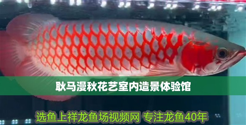 耿馬漫秋花藝室內(nèi)造景體驗(yàn)館