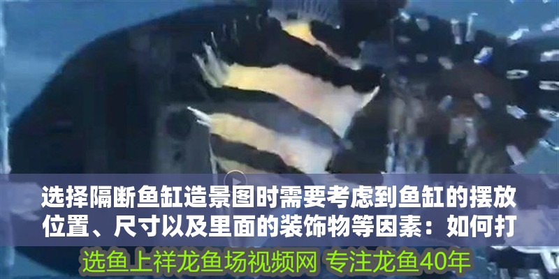 選擇隔斷魚缸造景圖時需要考慮到魚缸的擺放位置、尺寸以及里面的裝飾物等因素：如何打造個性化的隔斷魚缸造景