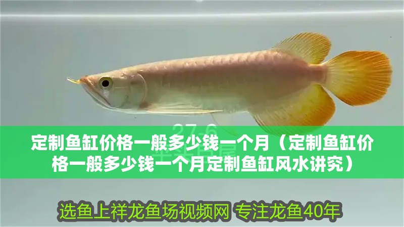 定制魚缸價格一般多少錢一個月（定制魚缸價格一般多少錢一個月定制魚缸風水講究）