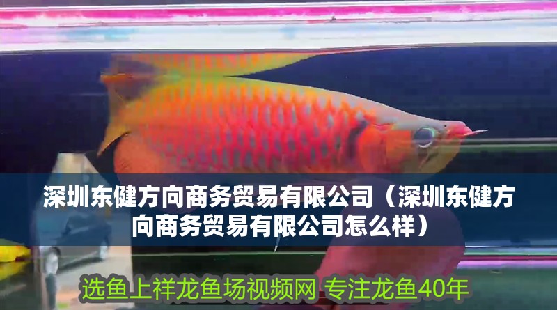 深圳東健方向商務貿易有限公司（深圳東健方向商務貿易有限公司怎么樣）