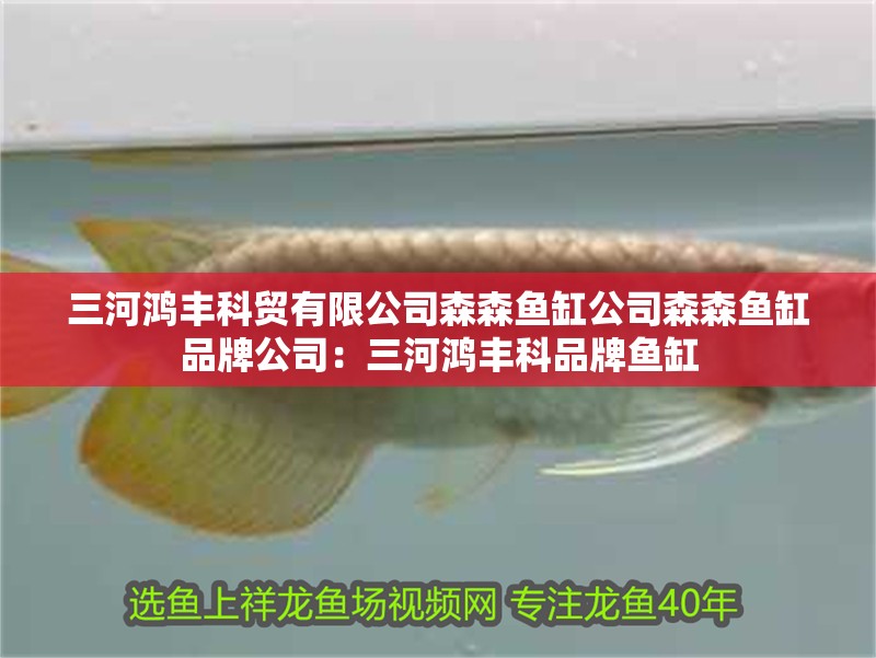 三河鴻豐科貿有限公司森森魚缸公司森森魚缸品牌公司：三河鴻豐科品牌魚缸