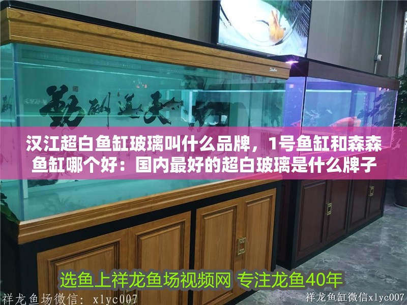 漢江超白魚缸玻璃叫什么品牌，1號魚缸和森森魚缸哪個好：國內最好的超白玻璃是什么牌子
