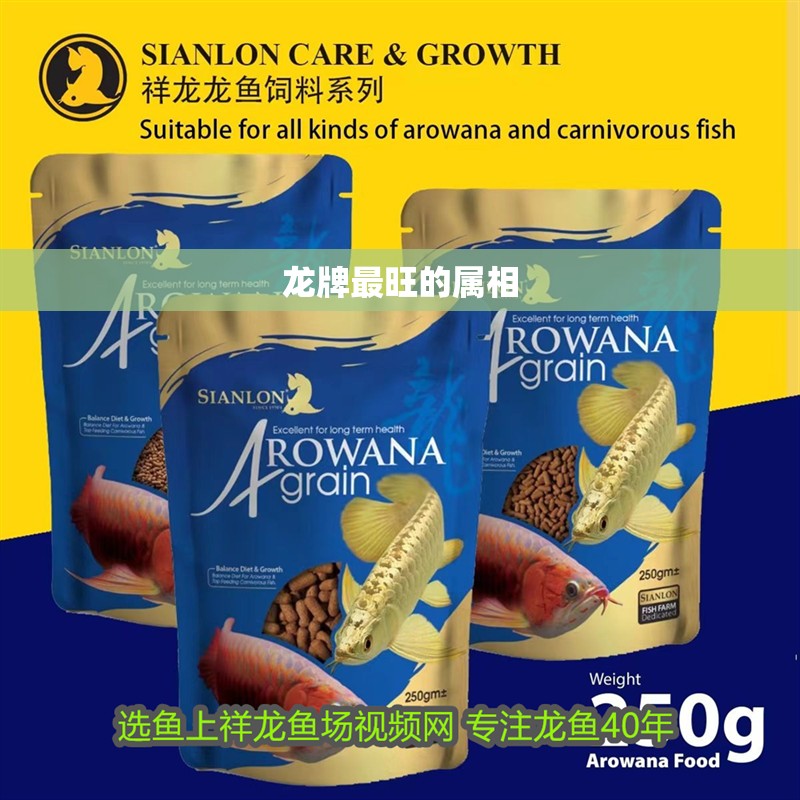 龍牌最旺的屬相