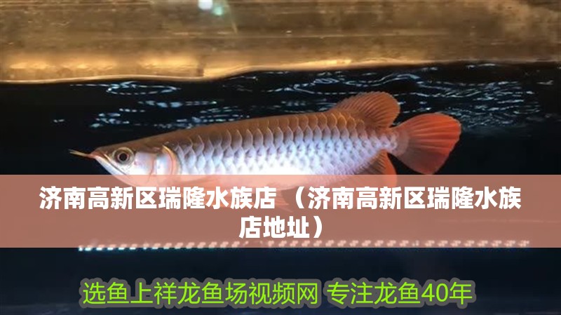 濟南高新區瑞隆水族店 （濟南高新區瑞隆水族店地址）