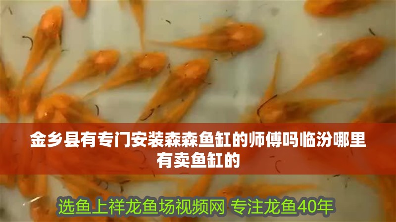 金鄉縣有專門安裝森森魚缸的師傅嗎臨汾哪里有賣魚缸的