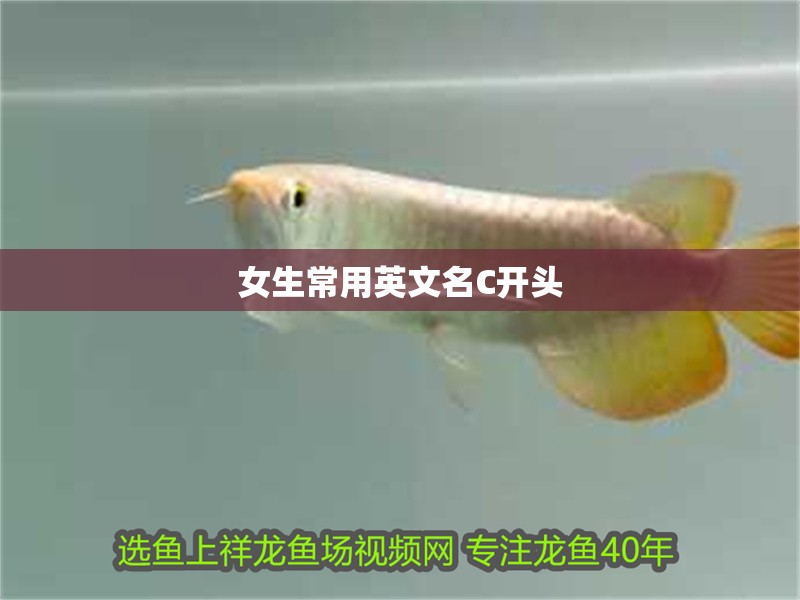 女生常用英文名C開頭