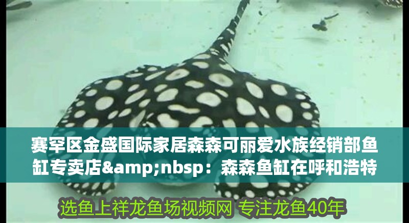 賽罕區金盛國際家居森森可麗愛水族經銷部魚缸專賣店&nbsp：森森魚缸在呼和浩特市有多家專賣店 賽罕區金盛國際家居森森可麗愛水族經銷部魚缸專賣店&nbsp：森森魚缸在呼和浩特市有多家專賣店 魚缸百科