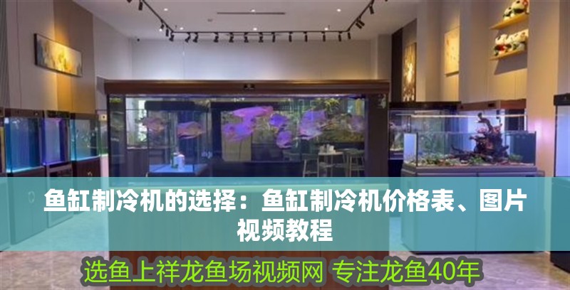 魚缸制冷機的選擇：魚缸制冷機價格表、圖片視頻教程