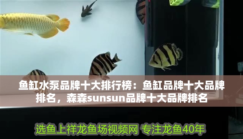 魚缸水泵品牌十大排行榜：魚缸品牌十大品牌排名，森森sunsun品牌十大品牌排名