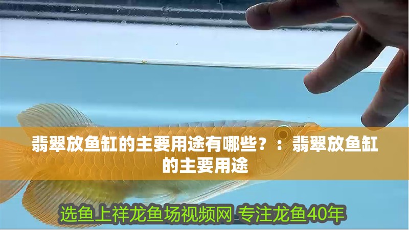 翡翠放魚(yú)缸的主要用途有哪些？：翡翠放魚(yú)缸的主要用途