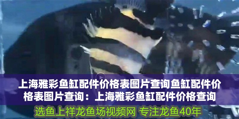 上海雅彩魚缸配件價格表圖片查詢魚缸配件價格表圖片查詢：上海雅彩魚缸配件價格查詢