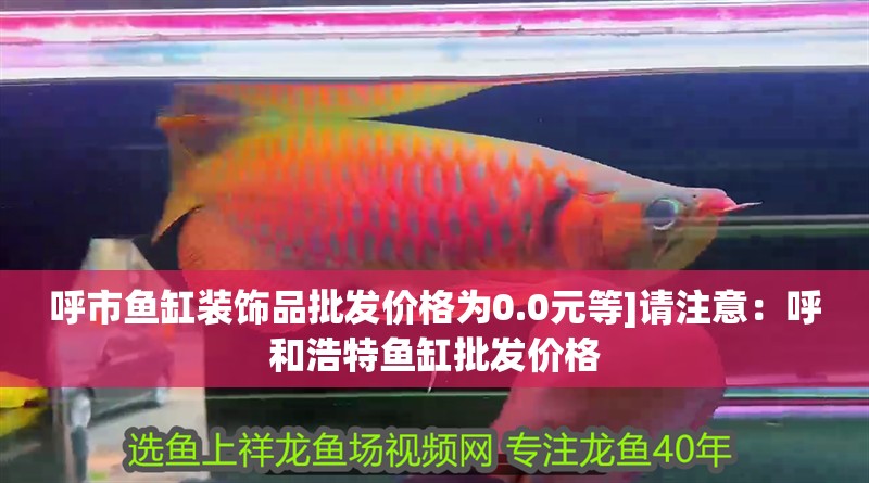 呼市魚缸裝飾品批發(fā)價格為0.0元等]請注意：呼和浩特魚缸批發(fā)價格