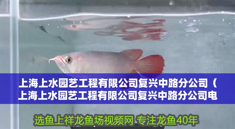 上海上水園藝工程有限公司復興中路分公司（上海上水園藝工程有限公司復興中路分公司電話）