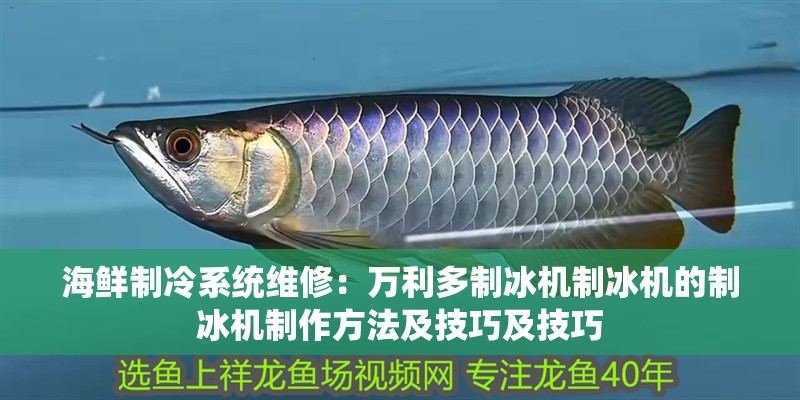 海鮮制冷系統(tǒng)維修：萬利多制冰機(jī)制冰機(jī)的制冰機(jī)制作方法及技巧及技巧