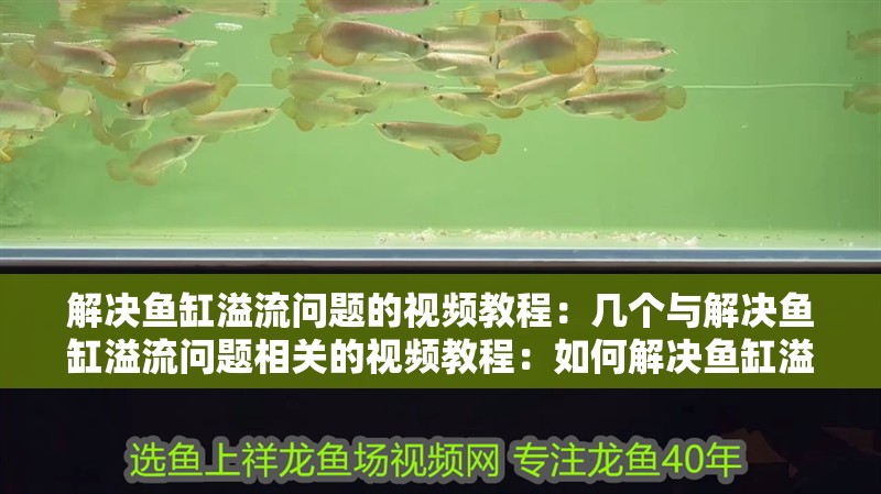 解決魚缸溢流問題的視頻教程：幾個(gè)與解決魚缸溢流問題相關(guān)的視頻教程：如何解決魚缸溢流問題