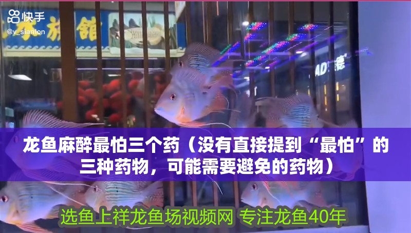 龍魚麻醉最怕三個藥（沒有直接提到“最怕”的三種藥物，可能需要避免的藥物）