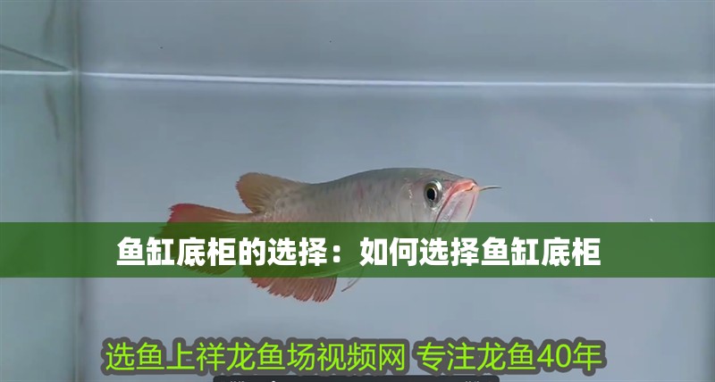 魚缸底柜的選擇：如何選擇魚缸底柜