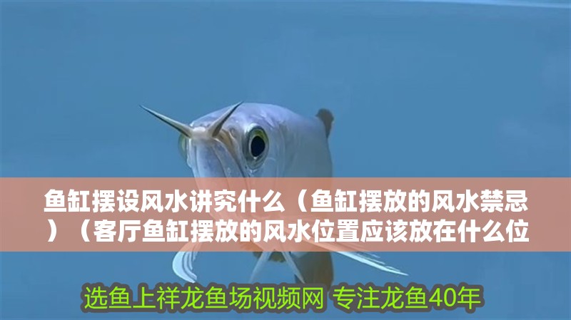 魚缸擺設風水講究什么（魚缸擺放的風水禁忌）（客廳魚缸擺放的風水位置應該放在什么位置，魚缸擺放的位置）