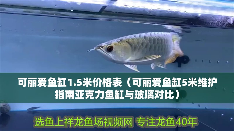 可麗愛魚缸1.5米價格表（可麗愛魚缸5米維護指南亞克力魚缸與玻璃對比）